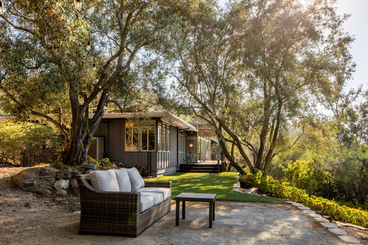 Seating area beneath olive trees