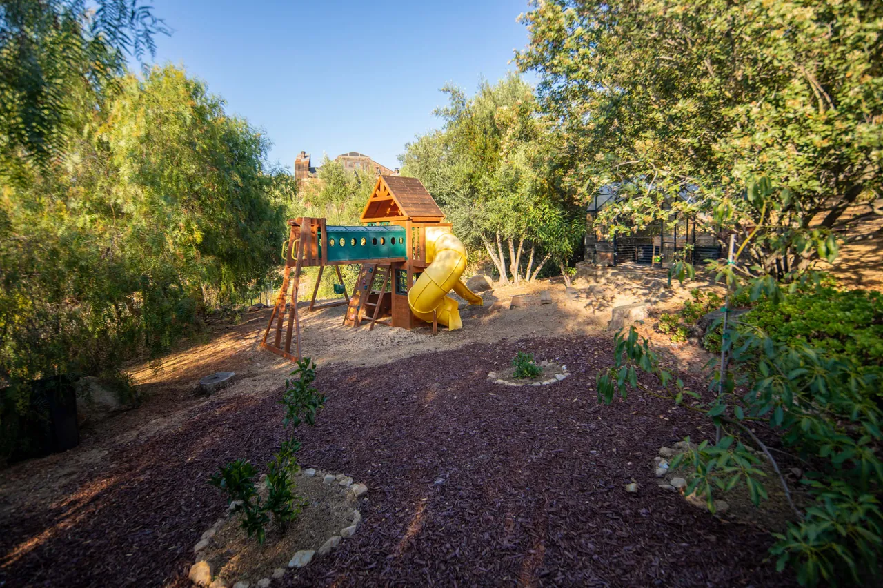 Play structure in a clearing among the trees