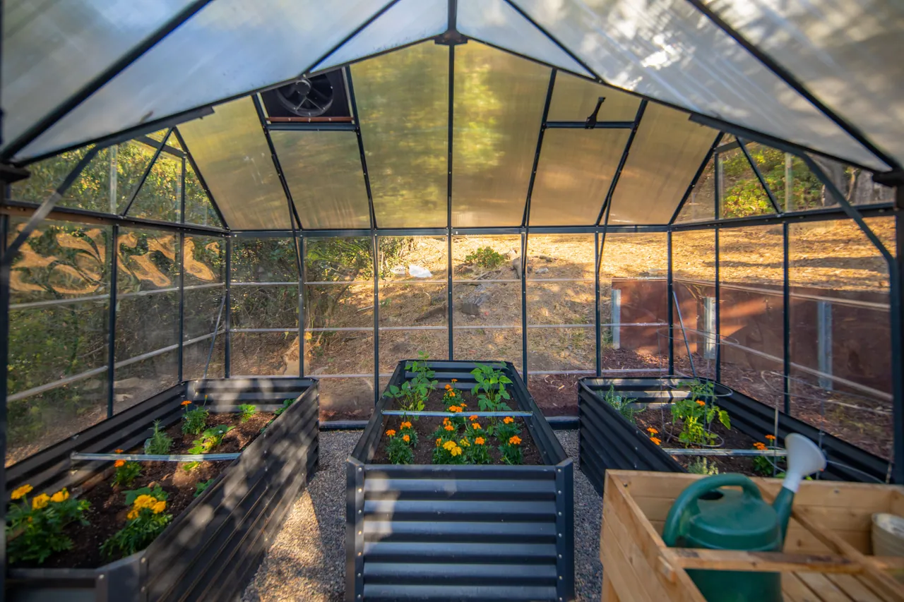 Inside the greenhouse: raised garden beds