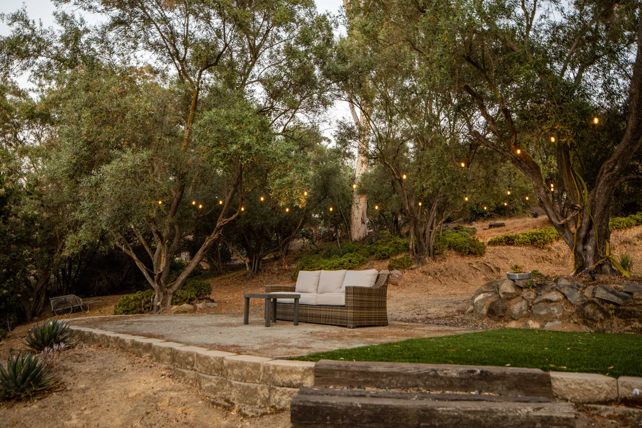 Seating terrace with string lights among the olives